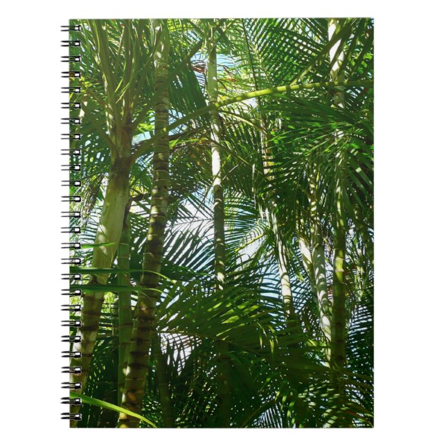 Carnet Forest of Palm Trees Tropical Nature (Devant)