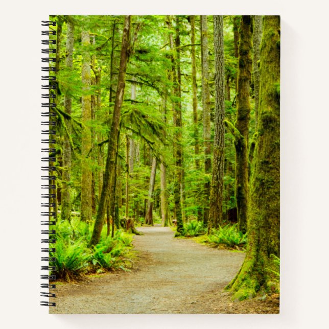 Carnet Forest | Parc national olympic (Devant)