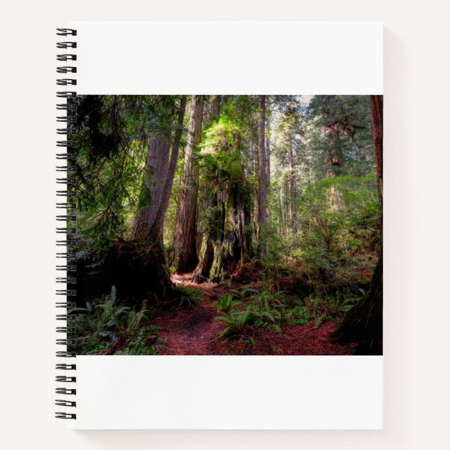 Carnet Forest | Séquwood Forest California (Devant)
