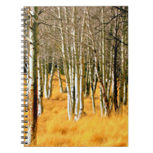 carnet forestier de peuplier
