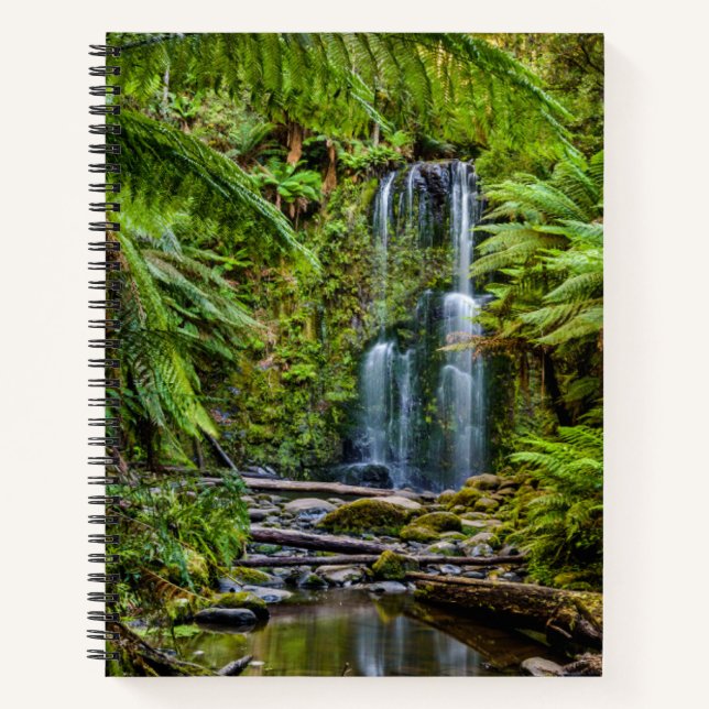 Carnet Forests | Beauchamp Falls Australia (Devant)