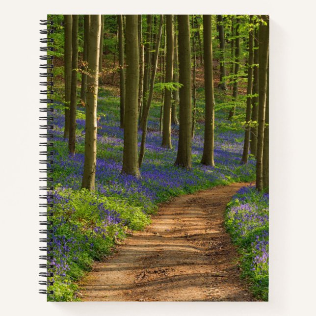 Carnet Forests | Bluebell Forest in Belgium (Devant)