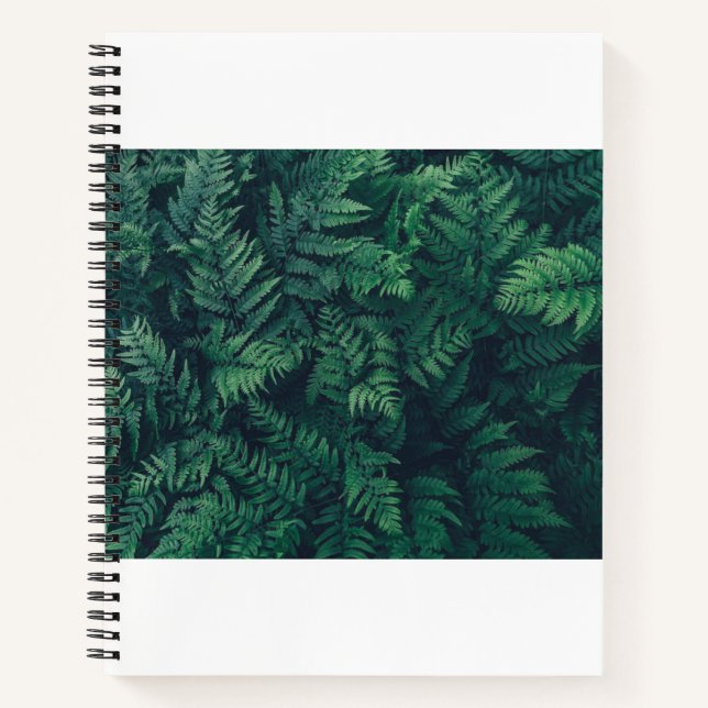 Carnet Forests | Woodland Ferns (Devant)