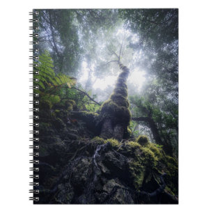 Carnet Forêt Anaga Parc rural Îles Canaries