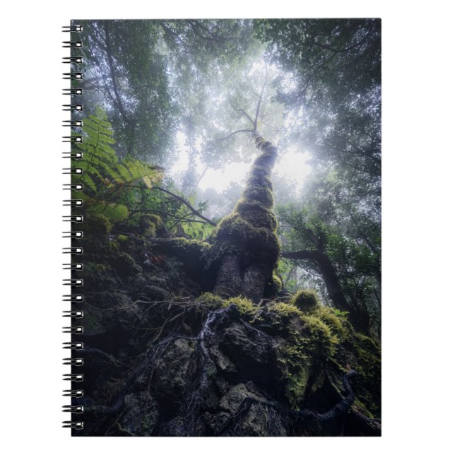 Carnet Forêt | Anaga Parc rural Îles Canaries (Devant)