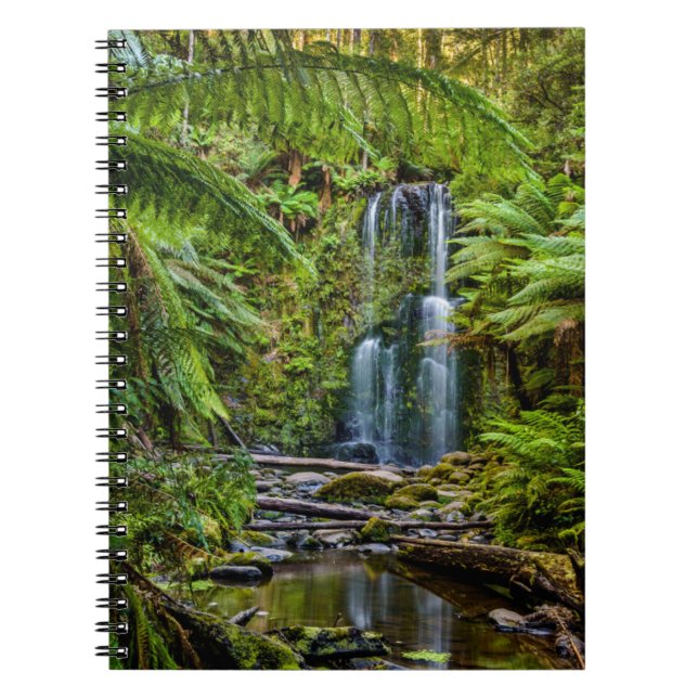 Carnet Forêt | Beauchamp Falls Australie (Devant)