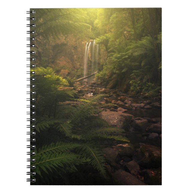 Carnet Forêt | Cascade Sunlight Highlights (Devant)