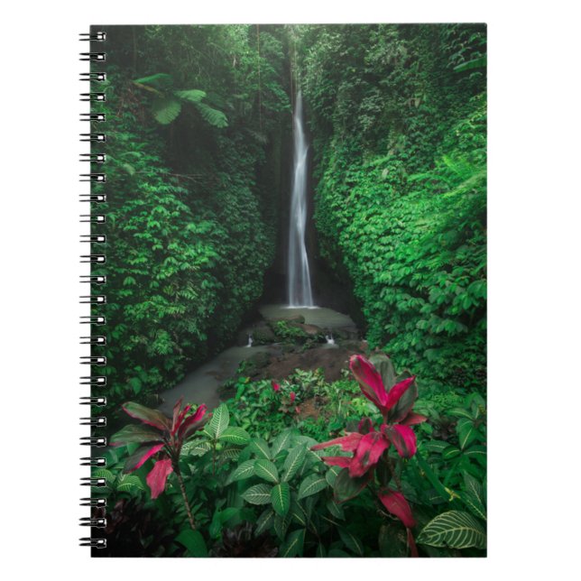 Carnet Forêt | Cascades Leke Leke Waterfalls à Bali (Devant)