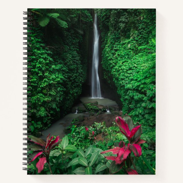 Carnet Forêt | Cascades Leke Leke Waterfalls à Bali (Devant)