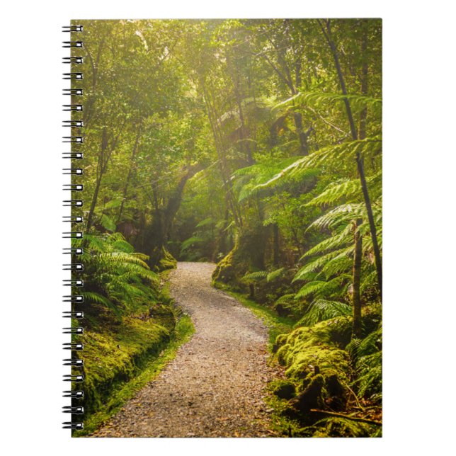 Carnet Forêt | Chemin De Marche Dans La Forêt (Devant)