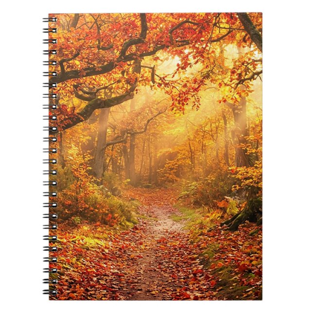 Carnet Forêt d'automne (Devant)