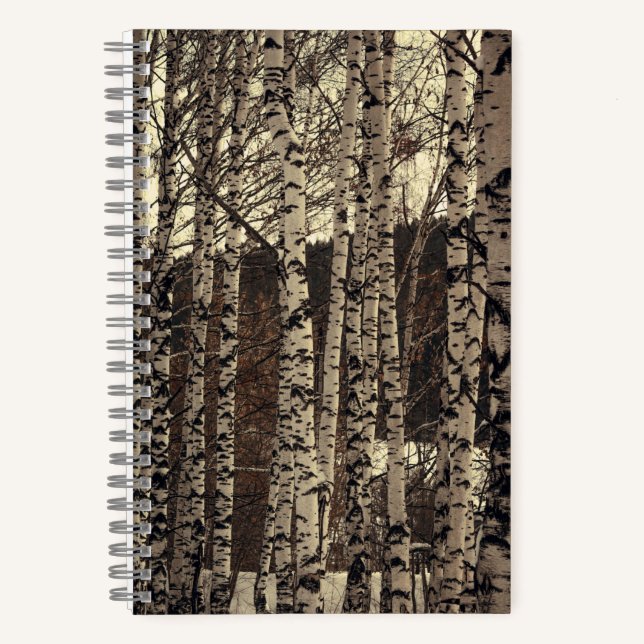 Carnet Forêt de Birch Nature (Recto)