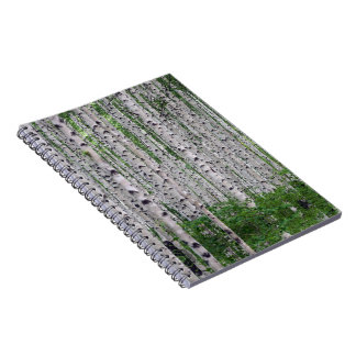 Carnet Forêt de Birch Nature