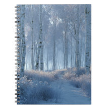 Forêt de bouleau radieuse enneigée 