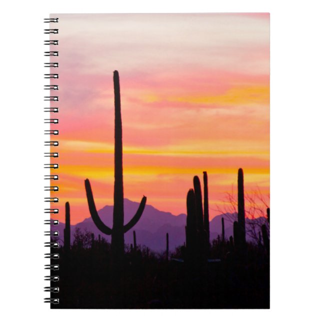 Carnet Forêt de cactus saguaro au coucher du soleil (Devant)