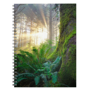Carnet Forêt de la côte pacifique, Oregon