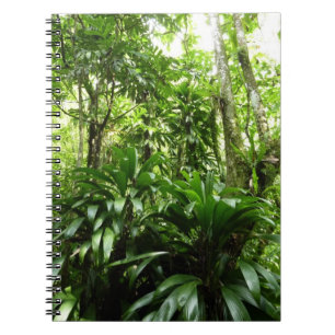 Carnet Forêt de pluie dominicaine I Nature verte tropical