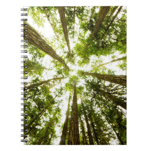 Carnet Forêt de pluie verte (Devant)