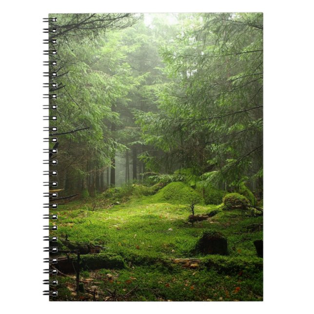 Carnet Forêt de Sterious (Devant)