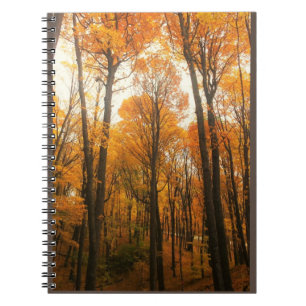 Carnet Forêt d'Orange