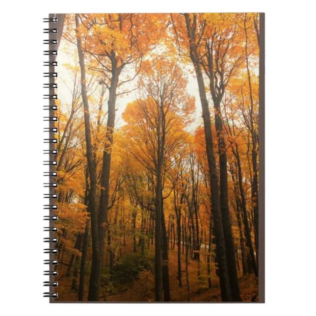 Carnet Forêt d'Orange (Devant)