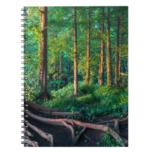 Carnet Forêt en été (Devant)