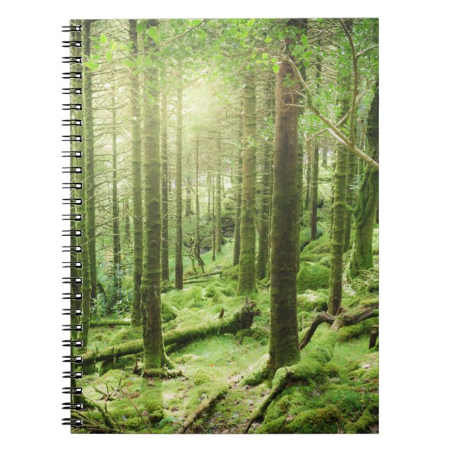 Carnet Forêt en parc national | Kerry, Irlande de (Devant)