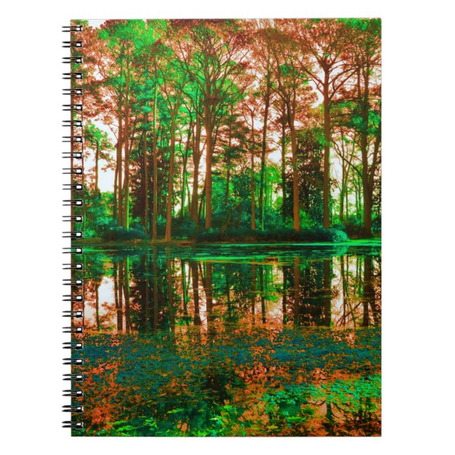 Carnet Forêt Fantastique par Shirley Taylor (Devant)