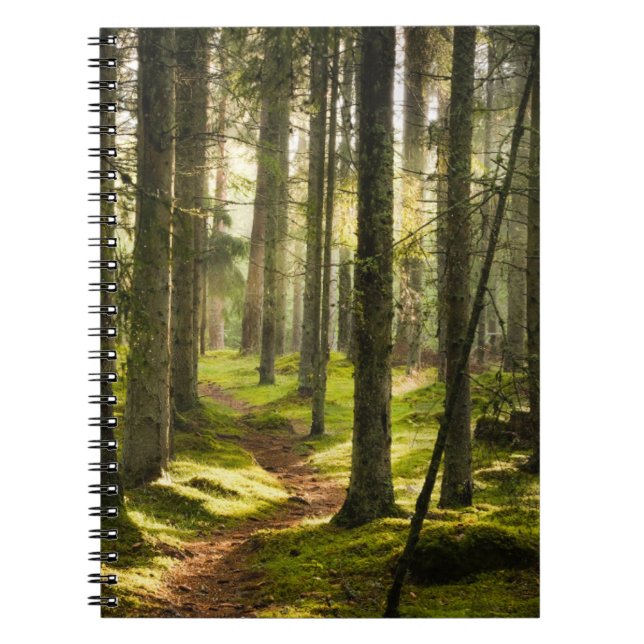 Carnet Forêt | Forêt boréale Suède (Devant)
