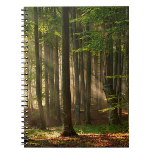 Carnet Forêt Forêt d'automne