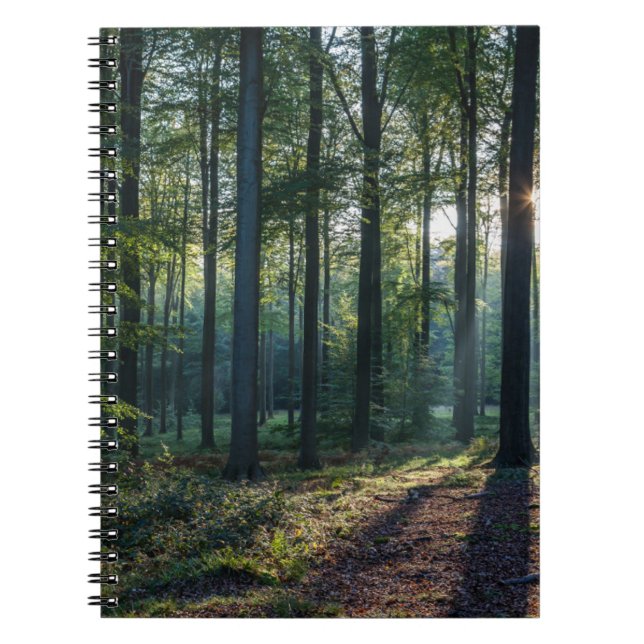 Carnet Forêt | Forêt Noire Allemagne (Devant)