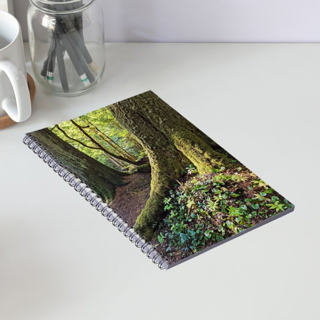 Carnet Forêt luxuriante et verdoyante (In Situ)