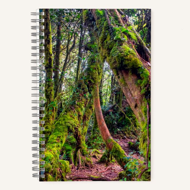 Carnet Forêt moussue (Recto)