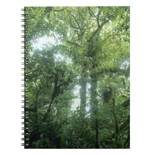 Carnet Forêt nuageuse de Monteverde, Costa Rica. (Devant)
