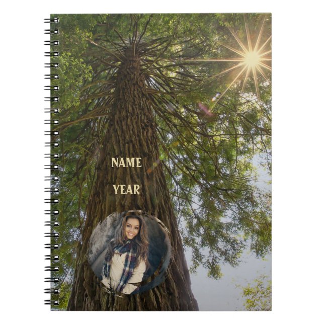 Carnet Forêt paisible avec photo à la lumière dorée (Devant)