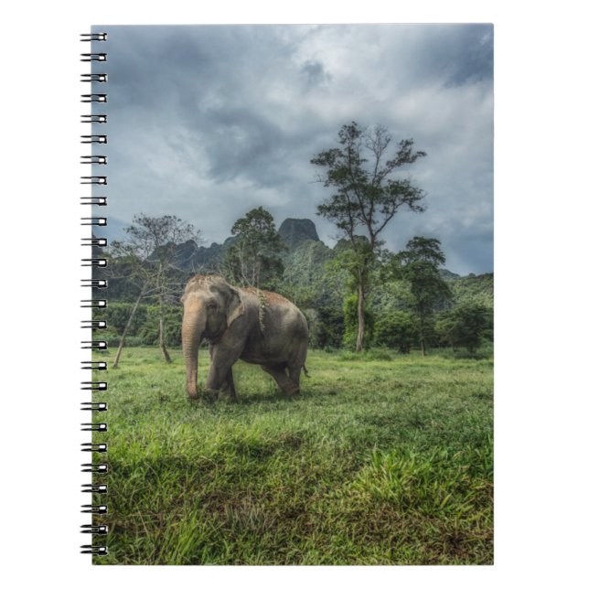 Carnet Forêt | Parc national de Kao Sok (Devant)