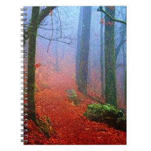 Carnet Forêt peinte Automne Brouillard bleu