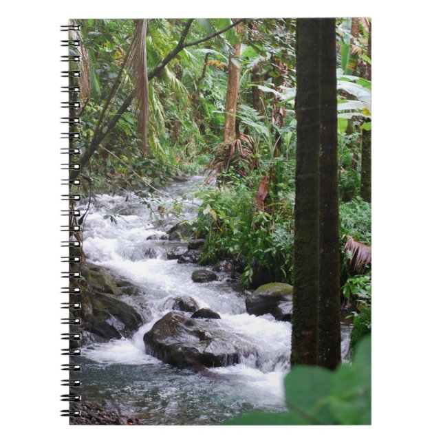 Carnet Forêt tropicale d'Hawaï (Devant)