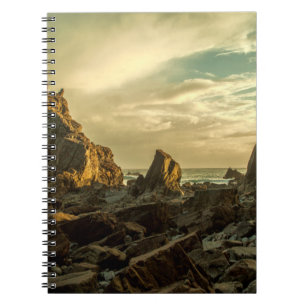 Carnet FORMATION DE ROCHE Brown