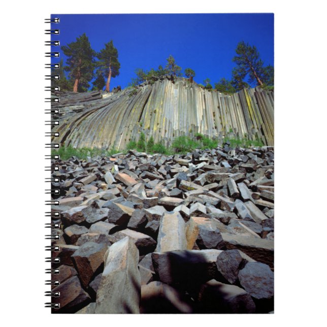 Carnet Formations basaltiques de Devils Postpile (Devant)