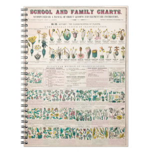 Carnet Formes de Feuilles, tiges, racines et fleurs; bota