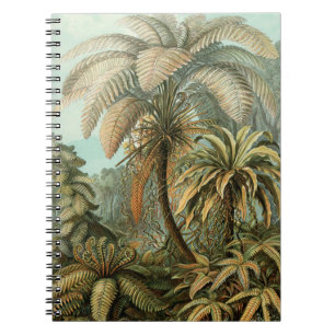 Carnet Fougère Palmier Antique Botanique Fougères Art
