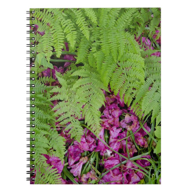 Carnet Fougères de forêt avec des pétales de fleurs roses (Devant)