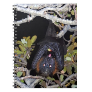 Carnet Fox de vol Gris-Dirigé