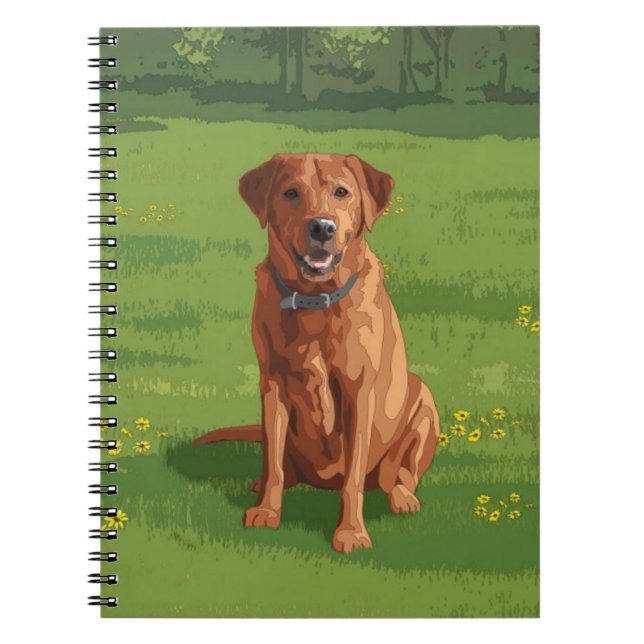 Carnet Fox Red Yellow Labrador Retriever Chien (Devant)