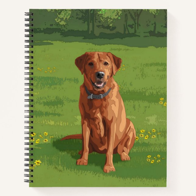 Carnet Fox Red Yellow Labrador Retriever Chien (Devant)