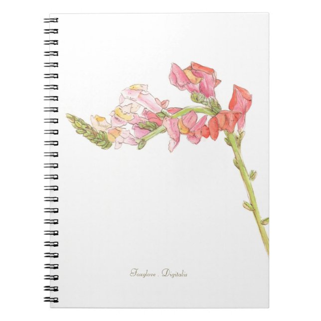Carnet Foxglove (Devant)