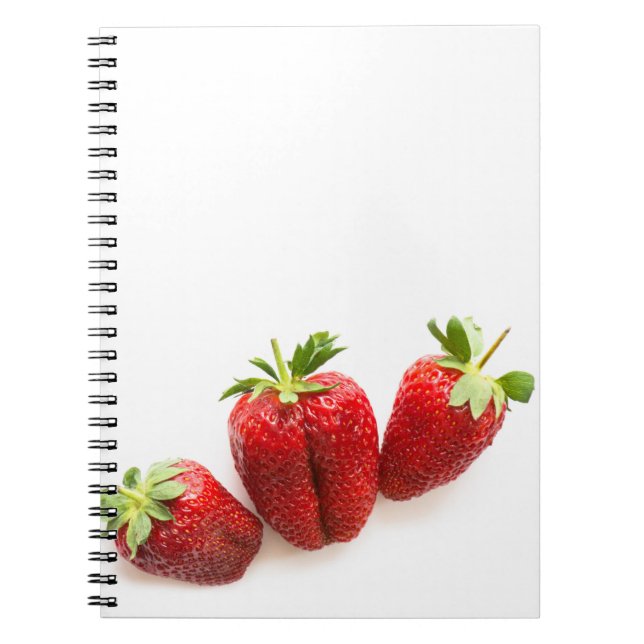 Carnet Fraises (Devant)