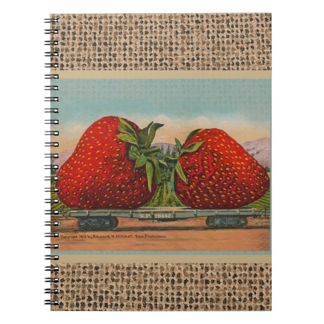Carnet Fraises Géant Antique Fruit Amusant (Devant)