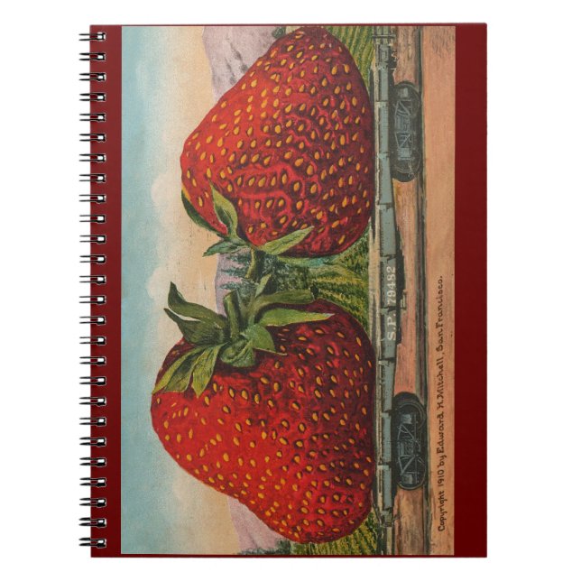 Carnet Fraises Géant Antique Fruit Amusant (Devant)